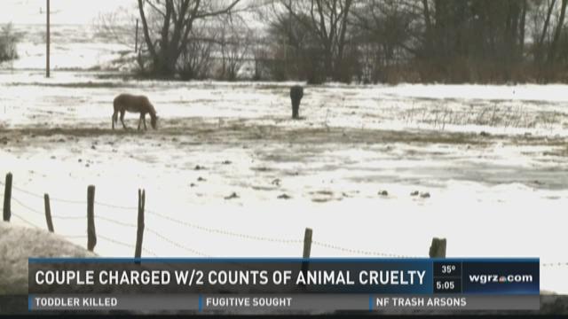 Farmersville Farm Owner Charged with Animal Cruelty | wgrz.com