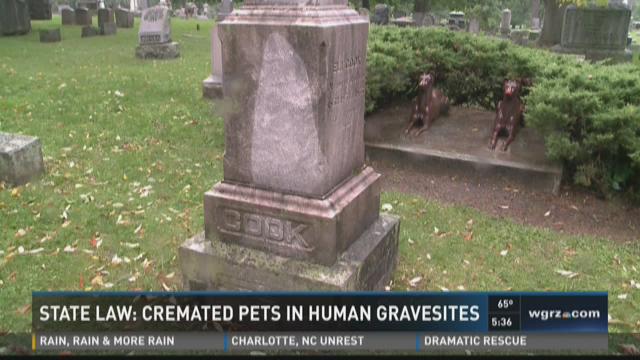 New York burial plots will now allow four-legged companions - The