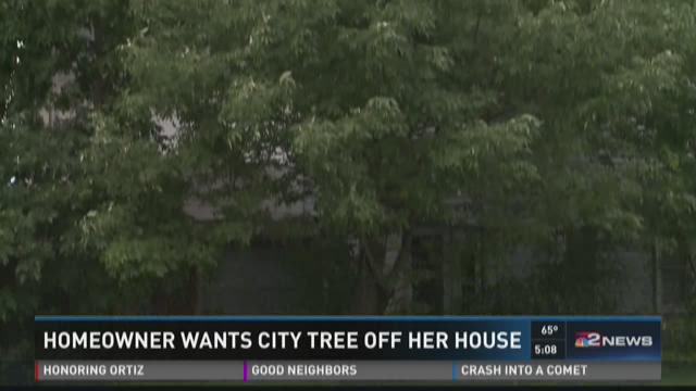 Homeowner wants city tree off her home